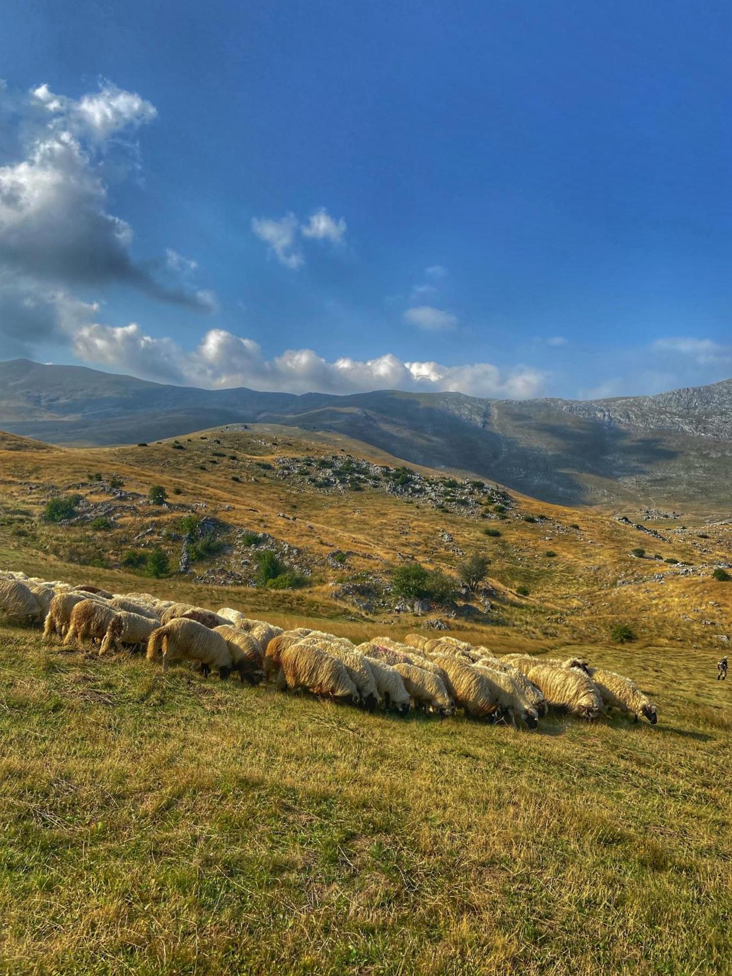 Konak Umoljani Daire Dış mekan fotoğraf