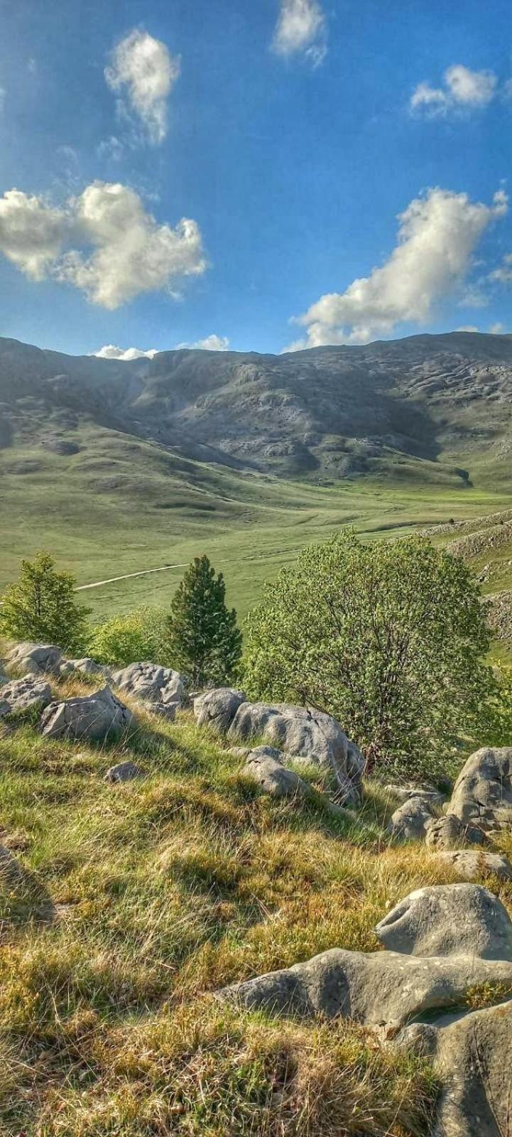 Konak Umoljani Daire Dış mekan fotoğraf